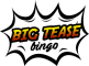 Big Tease Bingo logo